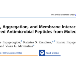 Conformational, Aggregation, and Membrane Interaction Dynamics of Keratin-Derived Antimicrobial Peptides from Molecular Dynamics Simulations featured
